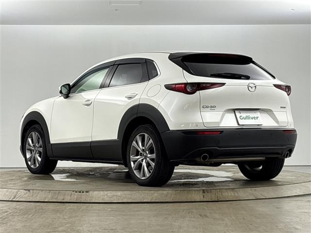 Mazda CX-30 2019 8251980-9