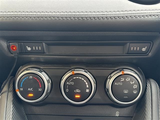 Mazda DEMIO 2017 8256957-17