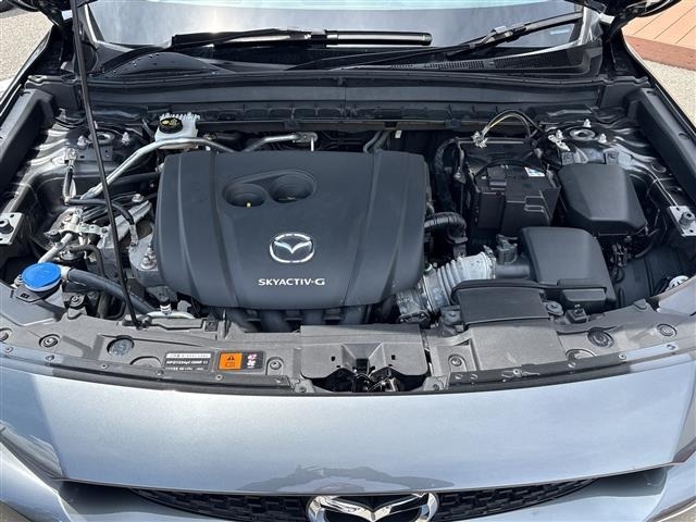 Mazda MX-30 2021 8252903-15
