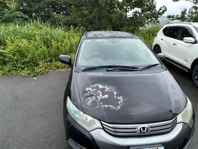 Honda INSIGHT 2010 8267494-1