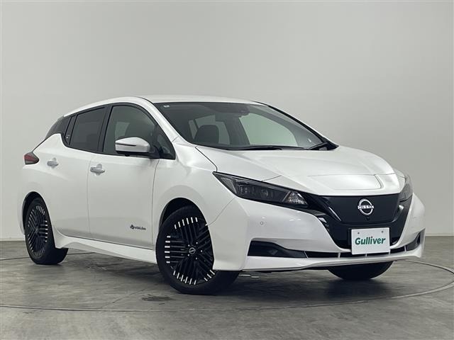 Nissan LEAF 2024 8261067-0