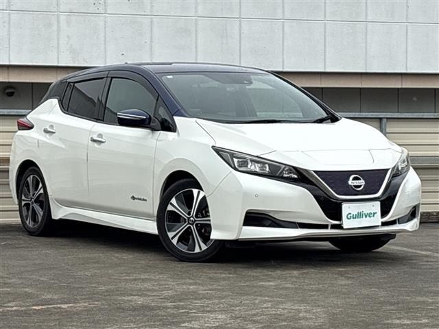 Nissan LEAF 2019 8261077-0