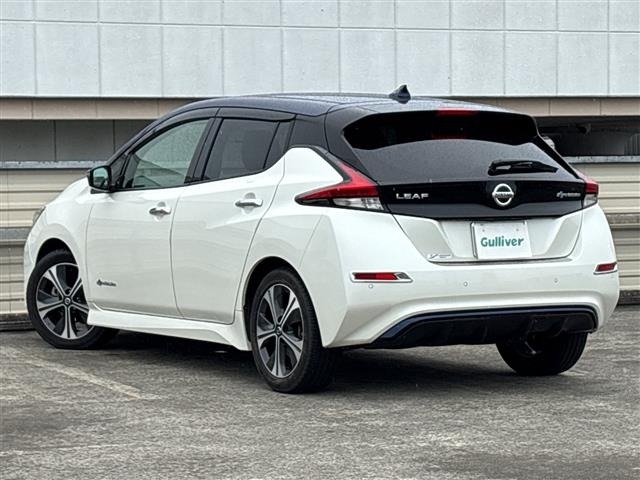 Nissan LEAF 2019 8261077-1