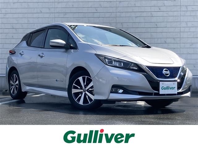 Nissan LEAF 2020 8261078-0