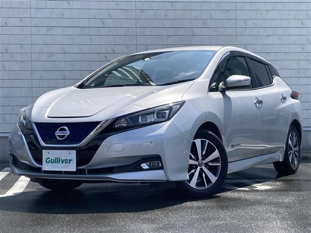 Nissan LEAF 2020 8261078-4
