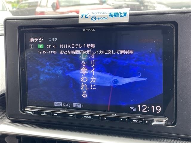 Toyota RAIZE 2019 8263124-17