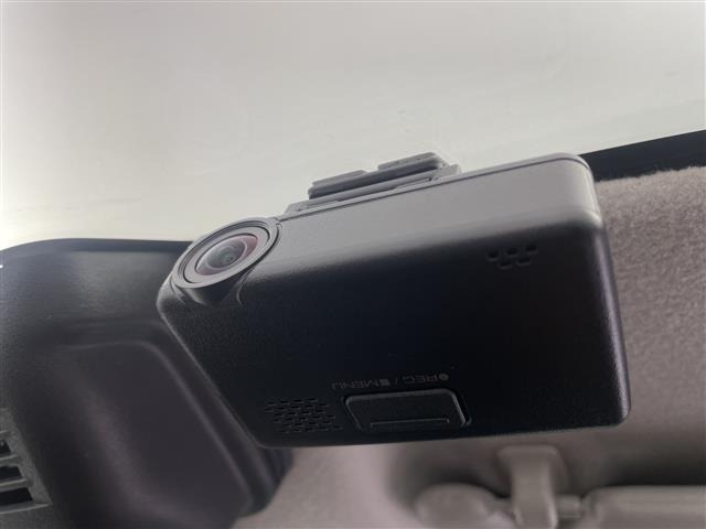 Suzuki HUSTLER 2021 8268366-19