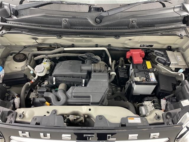 Suzuki HUSTLER 2019 8268370-19
