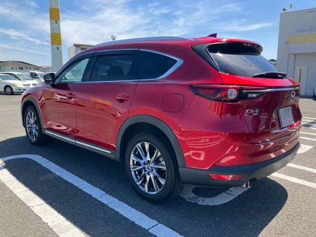 Mazda CX-8 2022 8288919-8