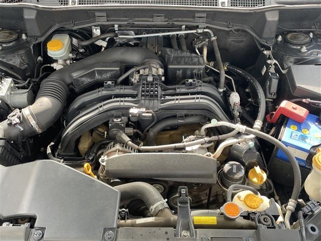 Subaru FORESTER 2018 8289987-14