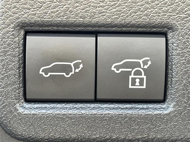 Toyota HARRIER 2023 8291775-21