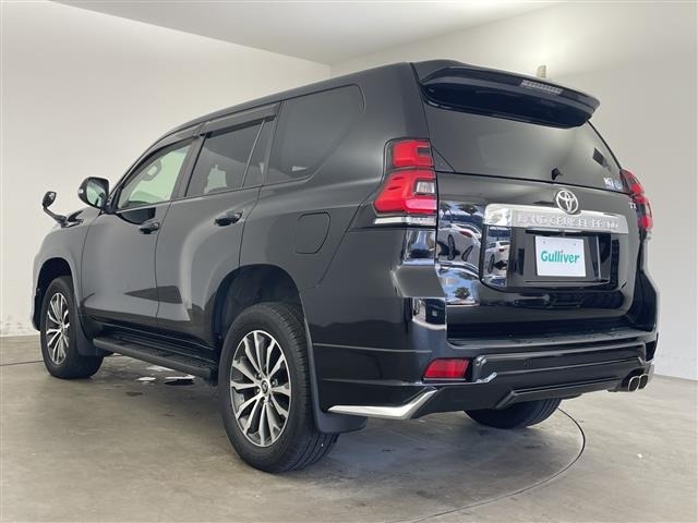 Toyota LAND CRUISER PRADO 2019 8292313-13