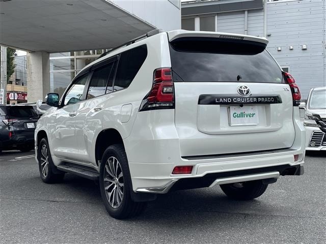 Toyota LAND CRUISER PRADO 2019 8292315-13