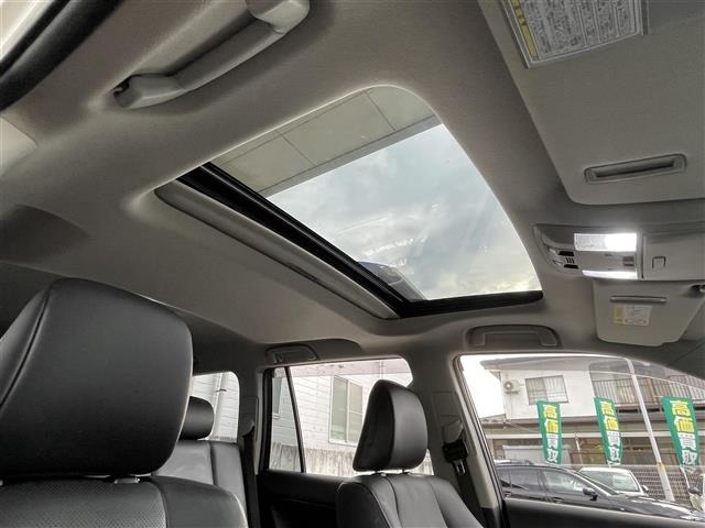 Toyota LAND CRUISER PRADO 2019 8292315-15
