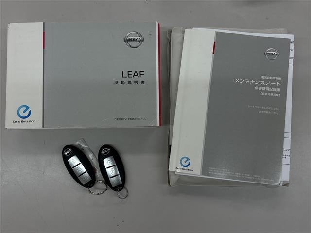 Nissan LEAF 2018 8286131-21