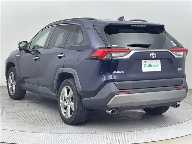 Toyota RAV4 2019 8293162-13