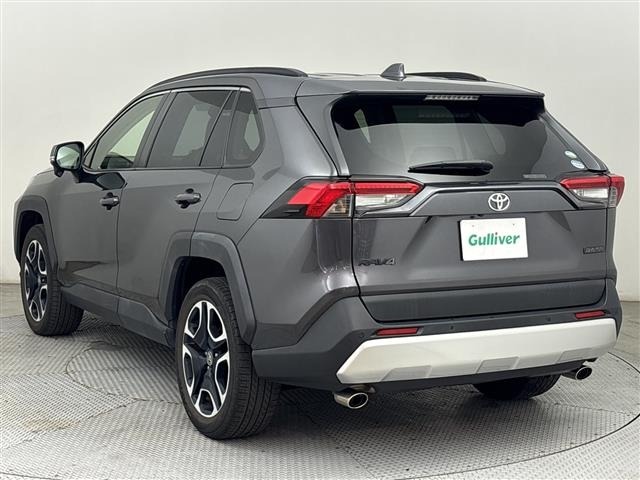 Toyota RAV4 2019 8293177-13