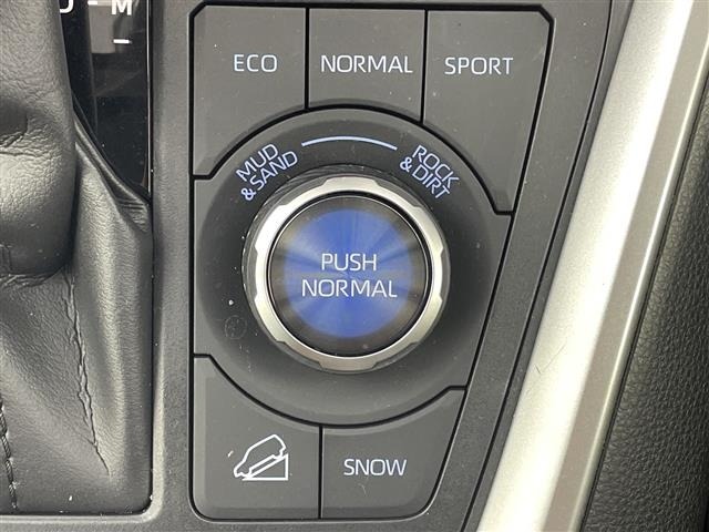 Toyota RAV4 2021 8293187-19
