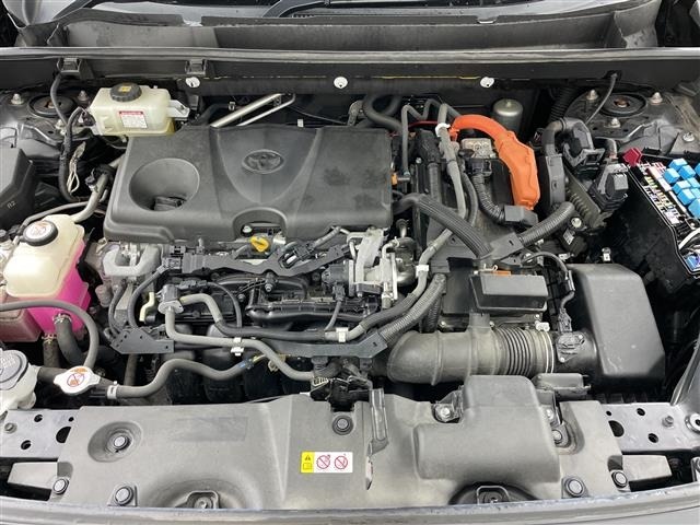 Toyota RAV4 2019 8293190-19