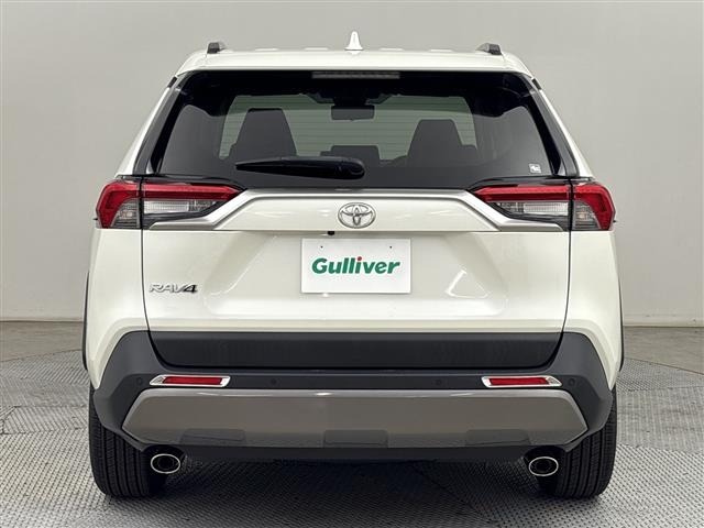 Toyota RAV4 2019 8293205-18