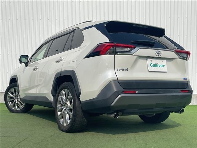 Toyota RAV4 2019 8293206-13