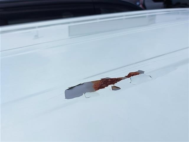 Nissan SERENA 2018 8276839-14