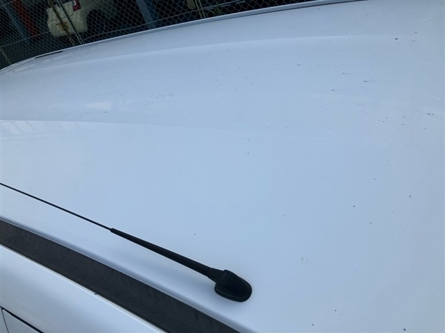 Nissan AD VAN 2021 8307437-11