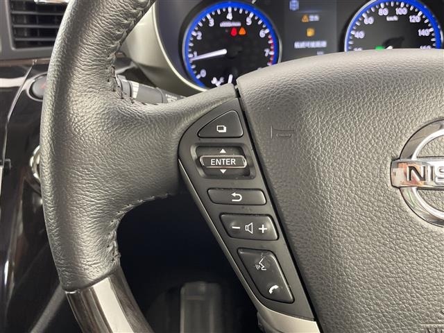 Nissan ELGRAND 2019 8307417-11