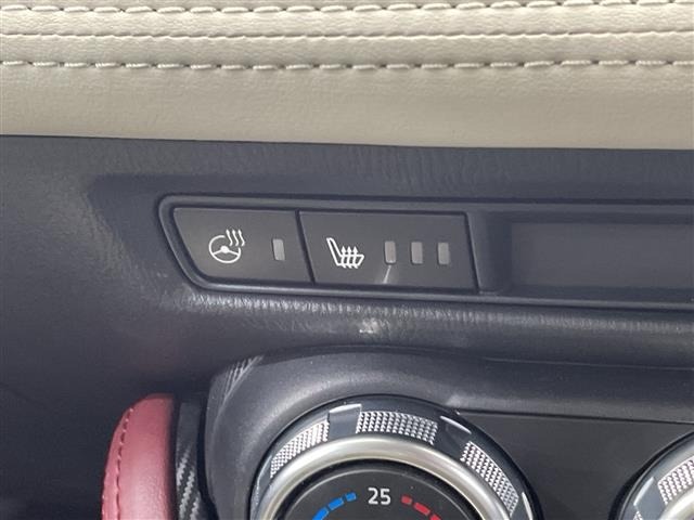 Mazda CX-3 2017 8318680-11