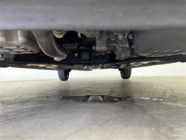 Suzuki LAPIN 2015 8318658-13