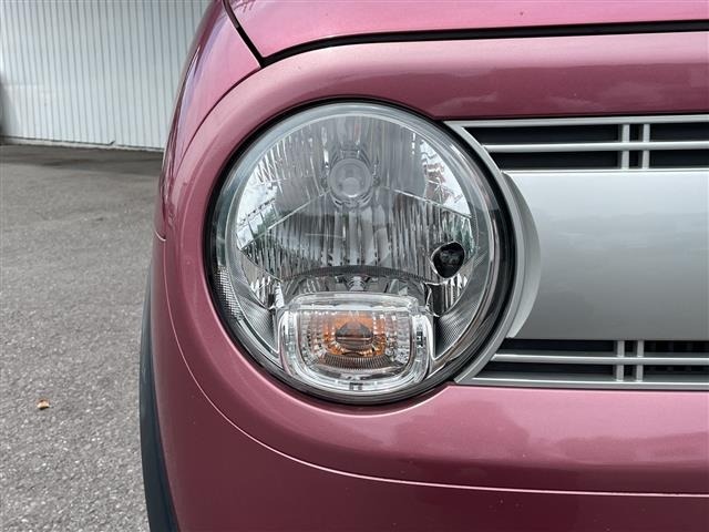 Suzuki LAPIN 2016 8318663-10