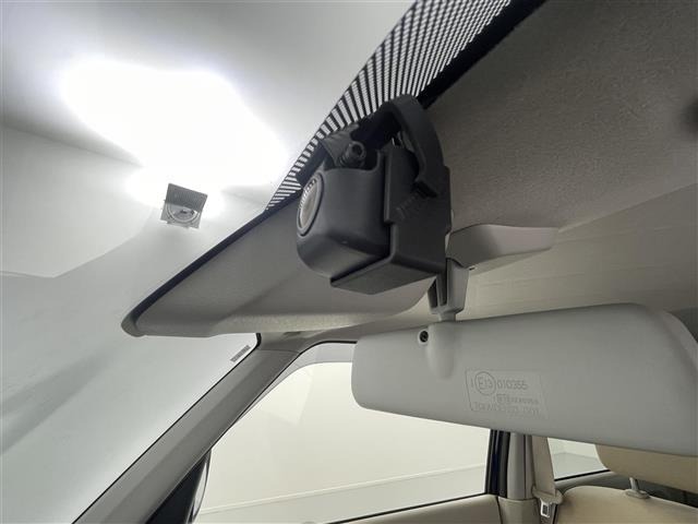 Suzuki LAPIN 2019 8318676-16