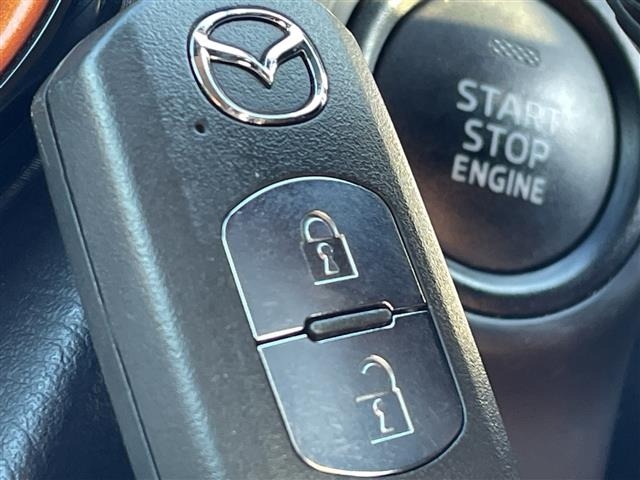 Mazda DEMIO 2017 8338851-9