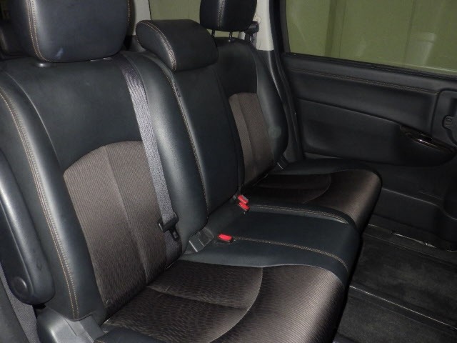 Nissan ELGRAND 2018 8338873-8