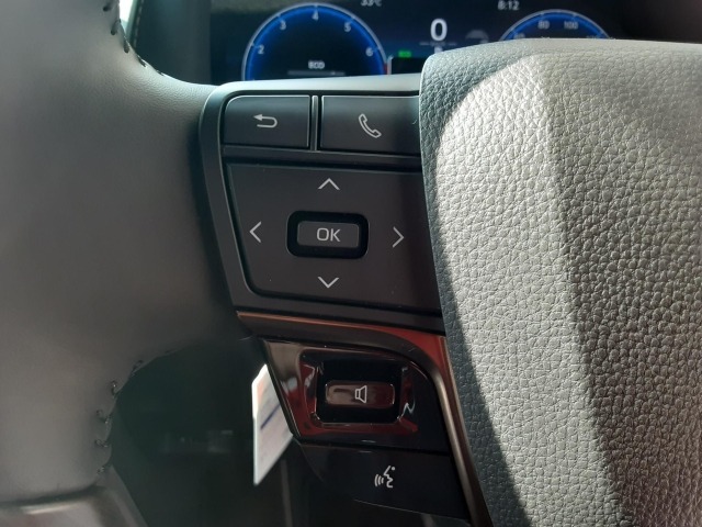 Toyota ALPHARD 2025 8341568-12