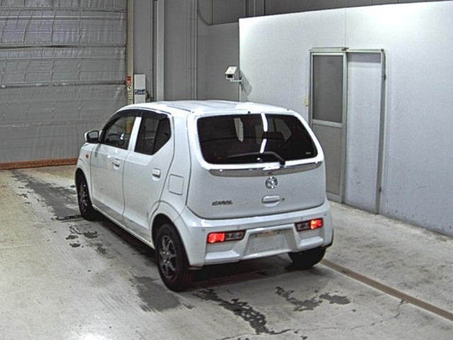 Mazda CAROL 2021 8347933-1