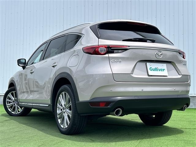 Mazda CX-8 2021 8347229-13