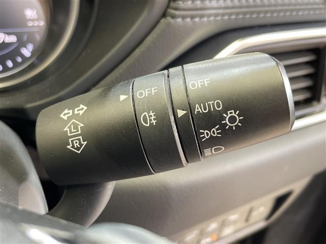 Mazda CX-8 2021 8347280-18