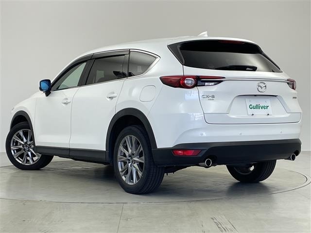 Mazda CX-8 2021 8347289-13