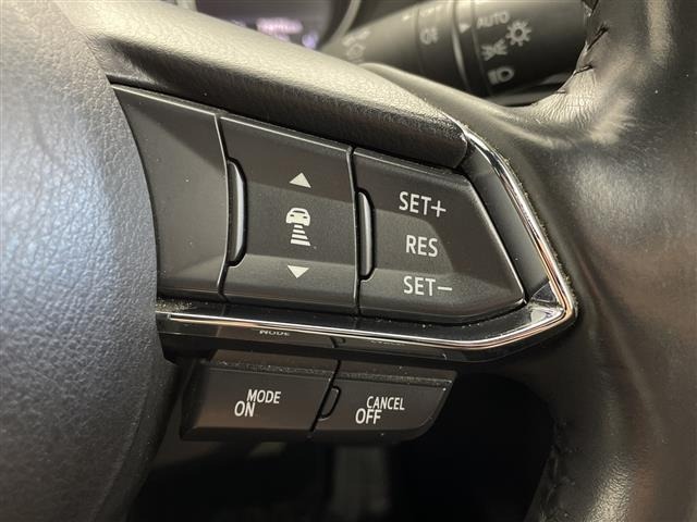 Mazda CX-8 2021 8347289-8