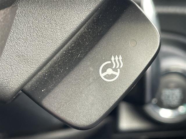 Subaru FORESTER 2018 8339909-21
