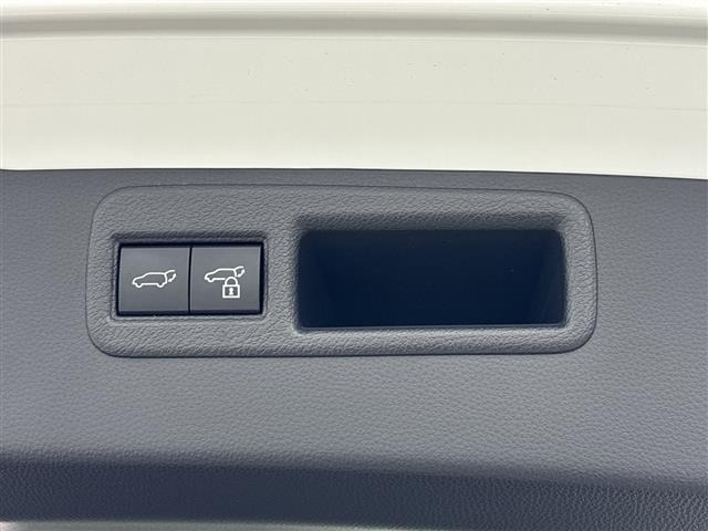 Toyota HARRIER 2023 8347843-9