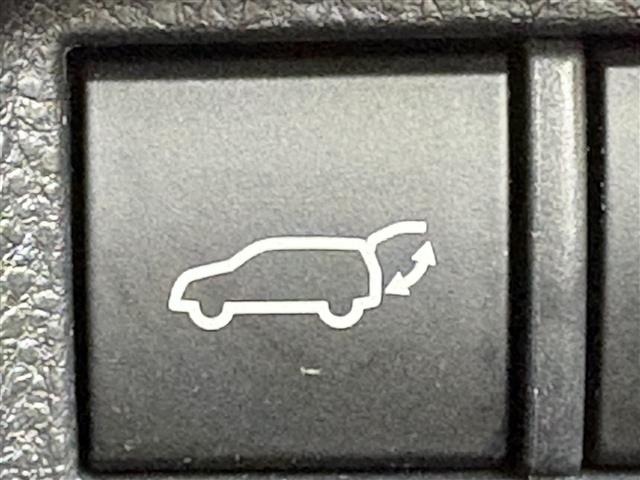 Toyota HARRIER 2024 8347849-22