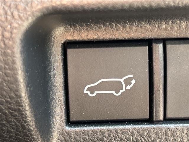 Toyota HARRIER 2023 8347862-41