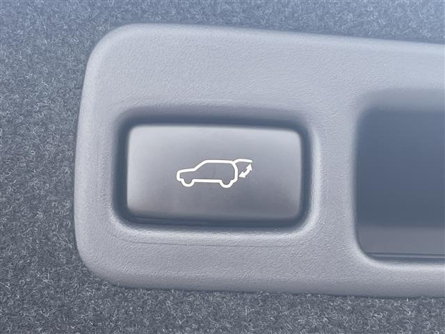 Toyota HARRIER 2020 8347879-18