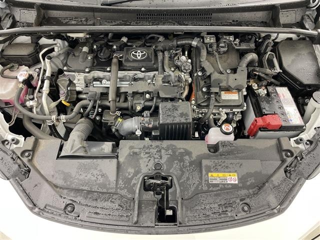 Toyota PRIUS 2025 8340081-19