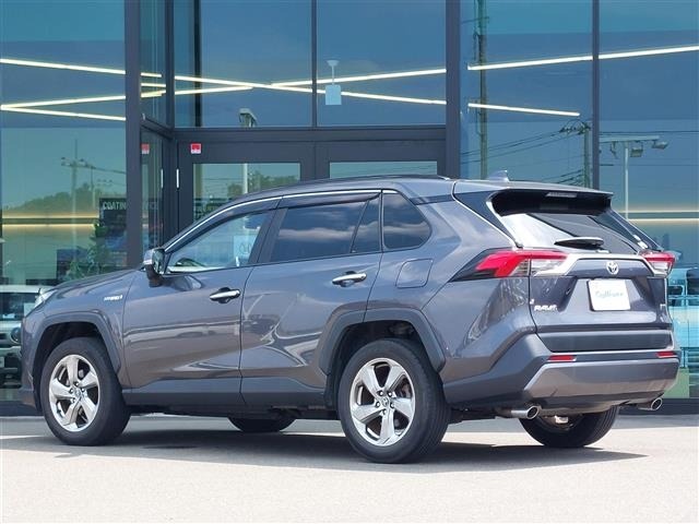 Toyota RAV4 2019 8348474-19
