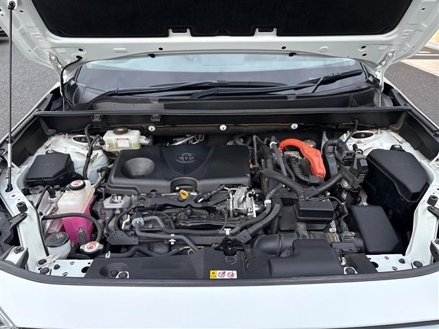 Toyota RAV4 2020 8348508-14