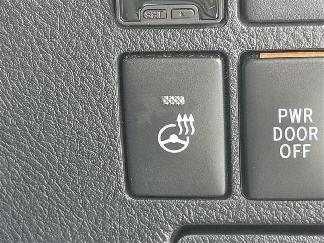 Toyota VELLFIRE 2019 8346008-21