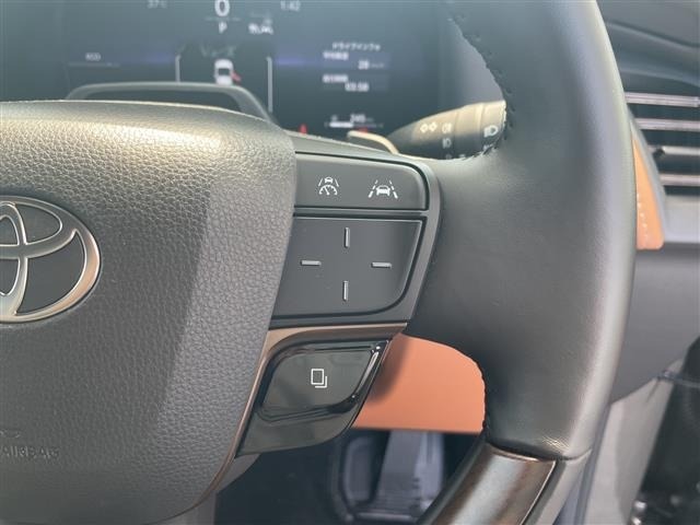 Toyota VELLFIRE 2025 8346010-11
